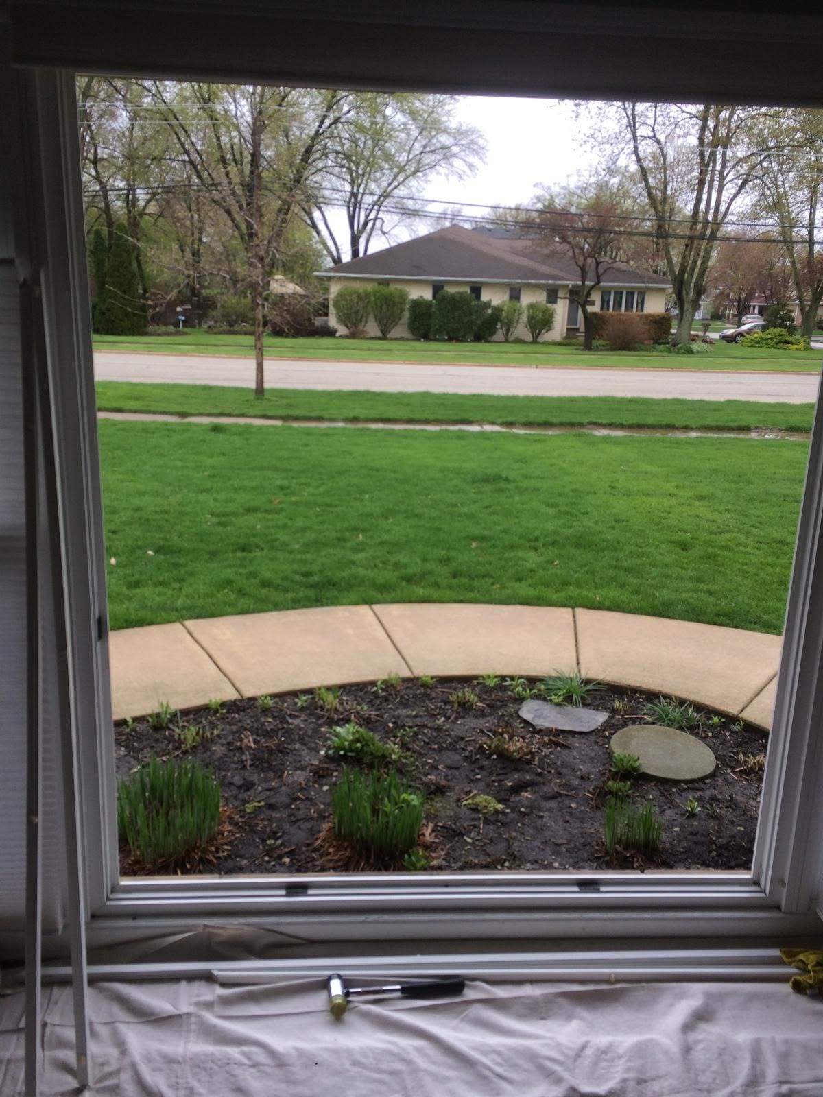 MG Window and Glass project